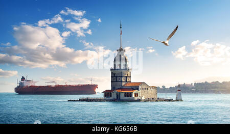 Seagull battenti vicino maiden's tower in Istanbul al giorno, Turchia Foto Stock