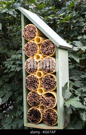 Bee House a Madison Square Park, New York, Stati Uniti Foto Stock