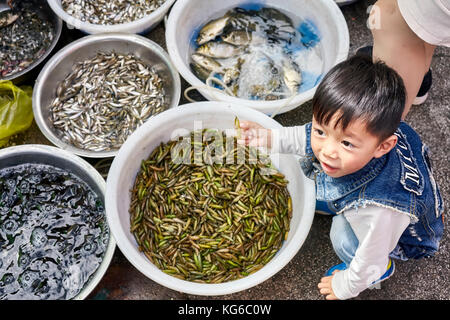 Lijiang, Yunnan, Cina - 27 Settembre 2017: bambino gioca con gli insetti commestibili su un mercato locale. Foto Stock