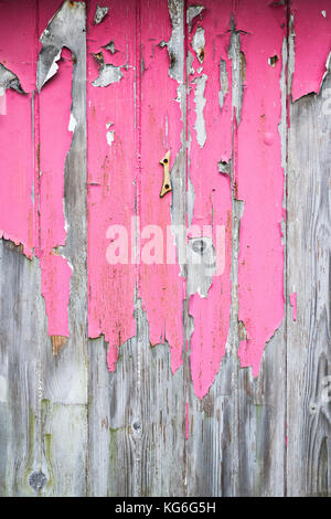 Il vecchio dipinto di rosa porta in legno con pareti scrostate texture. Scozia Foto Stock