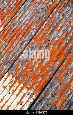 Vecchio arrugginito stagno ondulato pannelli tetto su un tetto di garage. Dumfries and Galloway, Scottish Borders, Scozia Foto Stock