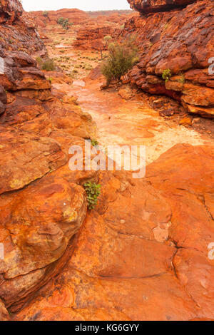 Il Red Rock canale, Kings Canyon, Australia Foto Stock