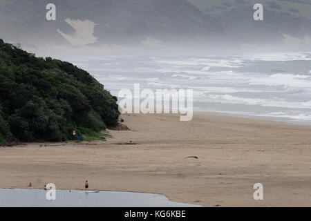 Dune marittime e la spiaggia nel sud della costa africana vicino a Port Elizabeth Foto Stock