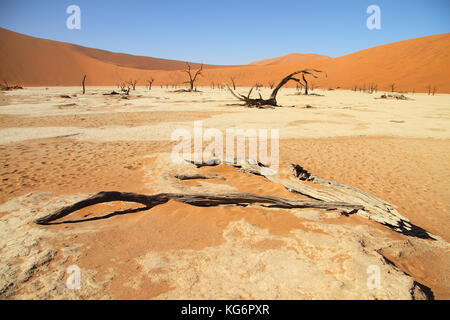 Vista di deadvlei, sossusvlei, nami naukluft national park, Namib Desert, Namibia. Foto Stock