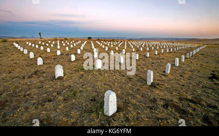 A sud-ovest di Arlington, il primo di veterani di guerra permanente per la pace memorial, fatta di 355 dipinti di bianco lapidi su due acri ,situato in alpine, tx Foto Stock