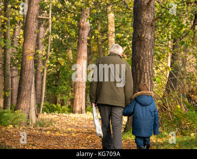 Un nonno tenendo la mano del giovane nipote camminando sul percorso del bosco coperto di foglie morte in una fredda giornata autunnale, Scotland, Regno Unito Foto Stock