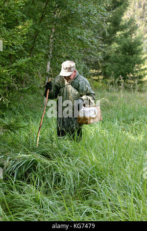 Escursioni nella foresta di funghi Foto Stock