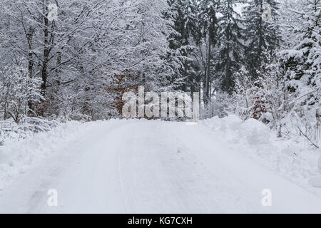 Im Waldweg inverno Foto Stock
