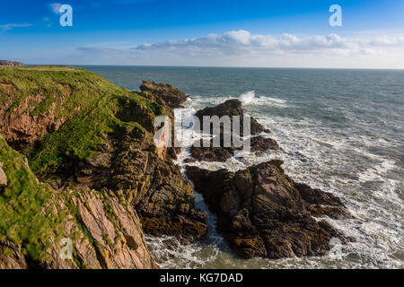 Le drammatiche scogliere di arenaria immediatamente sotto le rovine del castello di Slains sulla costa del Mare del Nord di Aberdeenshire, Scotland, Regno Unito Foto Stock