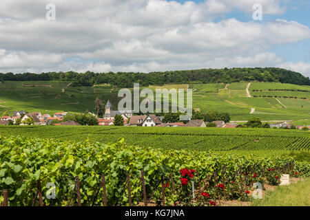 Avize, Francia - 12 giugno 2017: Il piccolo villaggio di Champagne Avize/Oger vicino a Epernay con vigneti e colline in una giornata estiva in Francia. Foto Stock