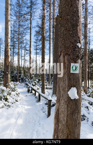 Wanderweg um dem Oderteich im Winter Nationalpark Harz Foto Stock