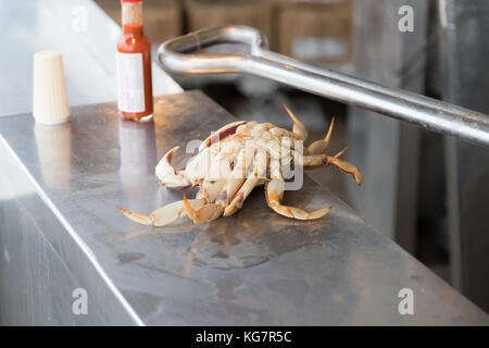 Il granchio unico sul contatore alimentare al Fisherman's Wharf di san francisco Foto Stock