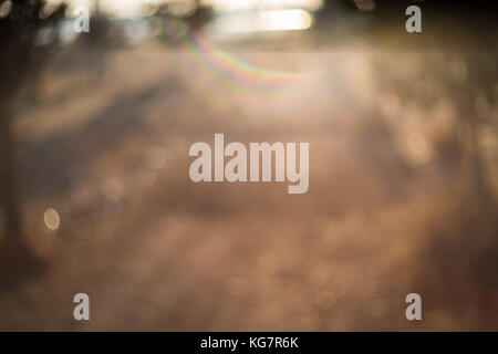 Sentiero natura il percorso al di fuori della messa a fuoco - swirly/ bokeh di filatura Foto Stock