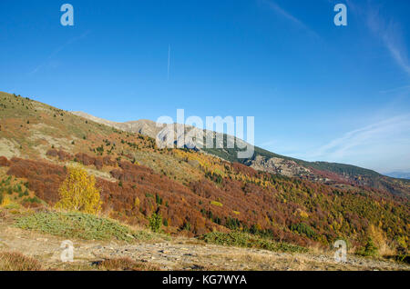 Autunno - pelister, parco nazionale vicino a Bitola Macedonia Foto Stock