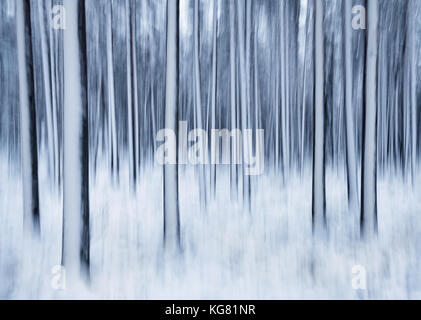 Paesaggio invernale con alberi e neve. Questo è preso dalla telecamera di scuotimento po' in una lunga esposizione. Foto Stock