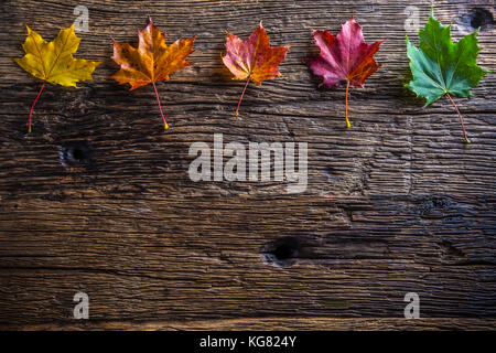 Foglie autunnali. Foglie colorate autunnali su un tavolo rustico in legno. Foto Stock