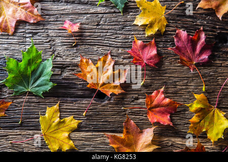 Foglie autunnali. Foglie colorate autunnali su un tavolo rustico in legno. Foto Stock