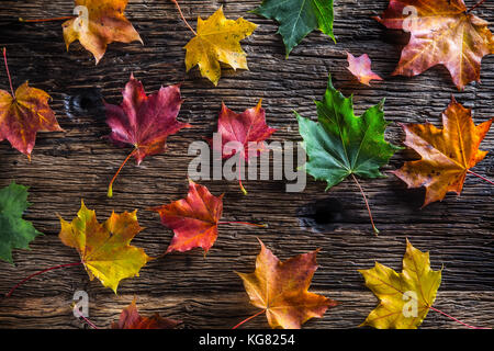 Foglie autunnali. Foglie colorate autunnali su un tavolo rustico in legno. Foto Stock