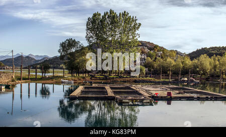 Villaggio karuc, Montenegro - floating vivai di pesci nel lago di Skadar basin Foto Stock