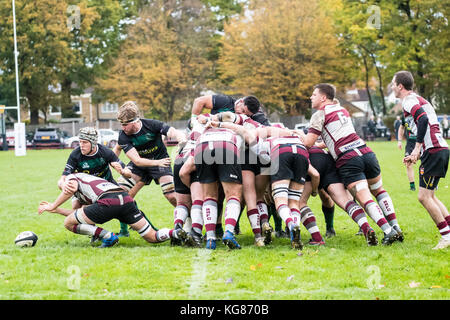 Brentwood, Essex, Regno Unito. 4 novembre, 2017. brentwood rugby club (27) vs North Walsham rfc (10) ha suonato a Brentwood. entra nella mischia credito: Ian Davidson/alamy live news Foto Stock