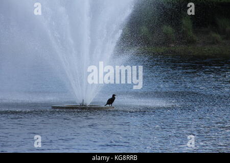 Viale alberato boardwalk a Anne's Beach, Islamorada, Florida Keys, Florida, Stati Uniti d'America Foto Stock