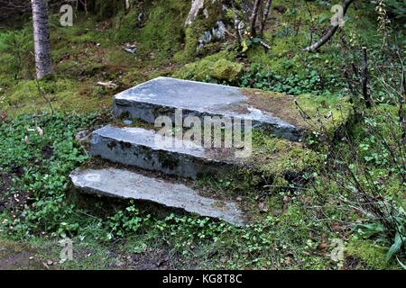 Una scala di pietra nella foresta è tutto ciò che resta di una casa che aveva una volta sorgeva in quella posizione, nell'Insediamento abbandonato della Manche, NL. Foto Stock