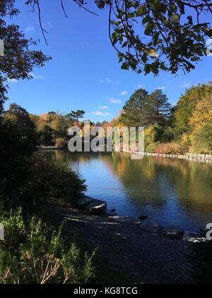 Guardando attraverso lo stagno in bowring park, st. John, Terranova, gli alberi in autunno colori sulla riva e riflessi nell'acqua Foto Stock