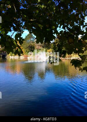 Guardando attraverso lo stagno in bowring park, st. John, Terranova, gli alberi in autunno colori sulla riva e riflessi nell'acqua Foto Stock