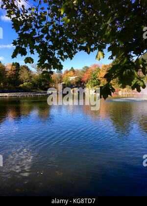 Guardando attraverso lo stagno in bowring park, st. John, Terranova, gli alberi in autunno colori sulla riva e riflessi nell'acqua Foto Stock