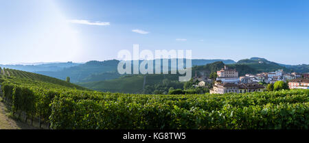 Villaggio di Barolo di Barolo castello circondato da vigneti, Castello di Barolo, Piemonte, Italia Foto Stock