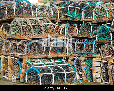 Aragosta o granchio di bicchieri impilati sulla banchina sul lato ovest del porto di Whitby North Yorkshire Regno Unito Foto Stock