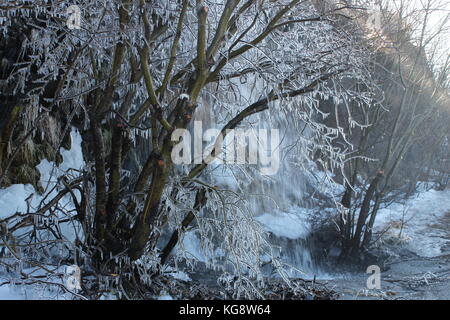 Coperchio degli alberi in ghiaccio, causata da spruzzare da una piccola cascata stradale Foto Stock