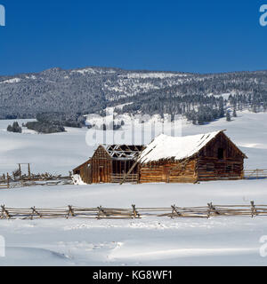 vecchi fienili su un ranch sotto la catena del granato in inverno vicino avon, montana Foto Stock