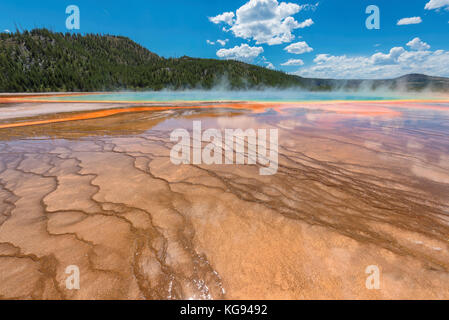 Grand Prismatic Spring nel Parco Nazionale di Yellowstone Foto Stock