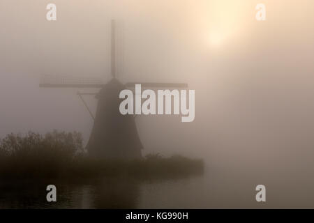 Storico mulino con la nebbia, patrimonio mondiale dell UNESCO, sud netherland, Netherland, europa Foto Stock