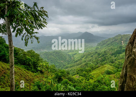 Giungla colombiana paesaggio Foto Stock