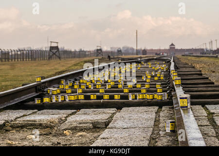 Campo di concentramento - (Auschwitz II) Foto Stock