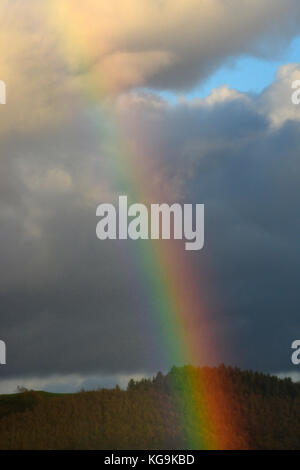 Cambrian Mountains, Wales, Regno Unito. 5 Novembre, 2017. Meteo REGNO UNITO - Bright rainbow appare al di sopra del Cambriano montagne vicino Aberystwyth, Wales, Regno Unito come perturbazioni atmosferiche continua attraverso la UK Credit: John Gilbey/Alamy Live News Foto Stock