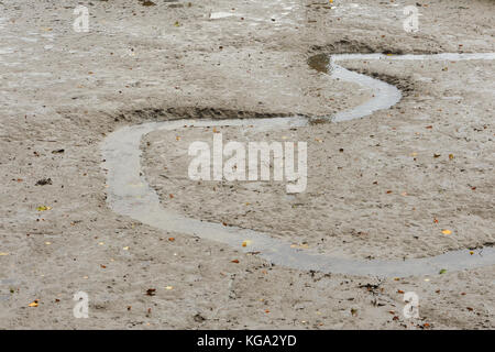 Rivoli si snodano attraverso il morbido fango limaccioso della Kingsbridge estuario con la bassa marea. Kingsbridge, Devon, Inghilterra, Regno Unito. Foto Stock