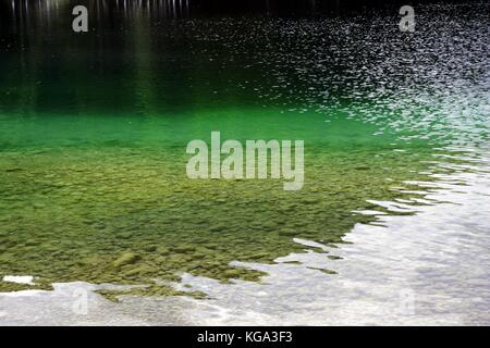 Invitanti acque di un verde chiaro sulle rive del lago di Bohinj, Slovenia Foto Stock