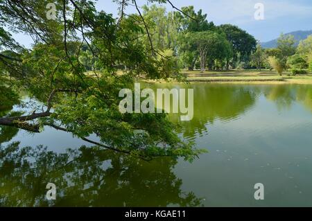La vista di taiping giardino del lago, perak Foto Stock