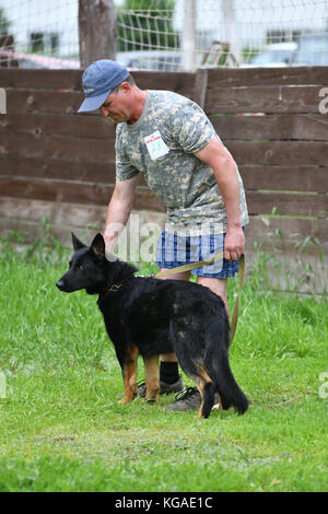 Orenburg, Russia, 11 giugno 2017 anno: pastore a dog show 'colori dell'estate 2017' Foto Stock