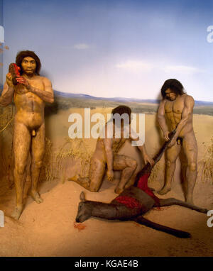 Evoluzione umana. homo antecessor. estinta la specie umana. 1.200 800.000 anni fa la scena di caccia. Foto Stock