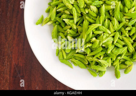 Fresh finlandese germogli di abete rosso su una piastra su un tavolo di legno Foto Stock