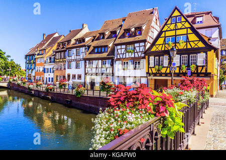 Colmar, Alsazia, Francia. petit Venezia, Canale d'acqua e metà di tradizionali case con travi di legno. Foto Stock