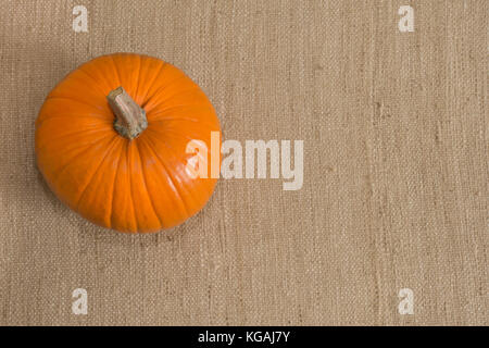 Un organico di zucca zucchero su una superficie strutturata tan sfondo tessuto fotografata da sopra. immagine ha uno spazio di copia. Foto Stock