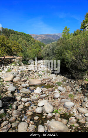 Flusso tributario a livello basso in estate, Rio fiume Tietar, jarandilla de la Vera, la Vera, Estremadura, Spagna Foto Stock