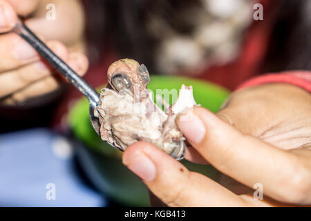 Mangiare Duck feto Foto Stock