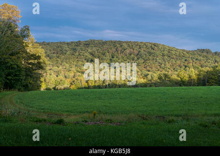 Il percorso si snoda attraverso un campo aperto in una fattoria nel Vermont Foto Stock