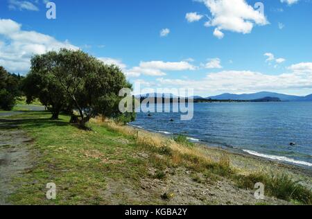 Lago Taupo, Nuova Zelanda Foto Stock